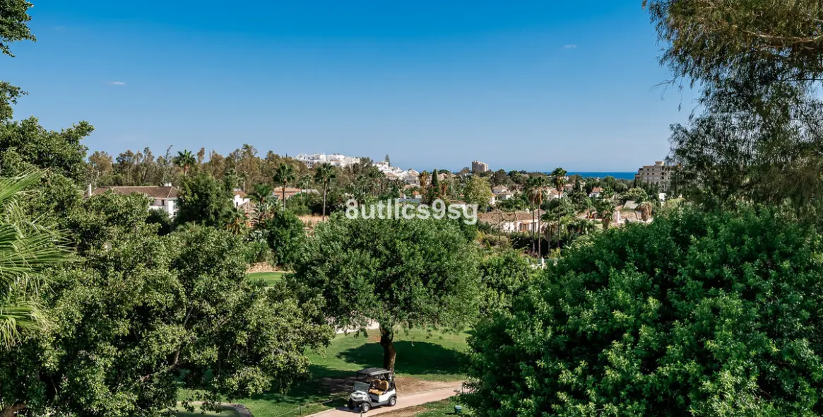 Venta de villa independiente en Nueva Andalucía 18