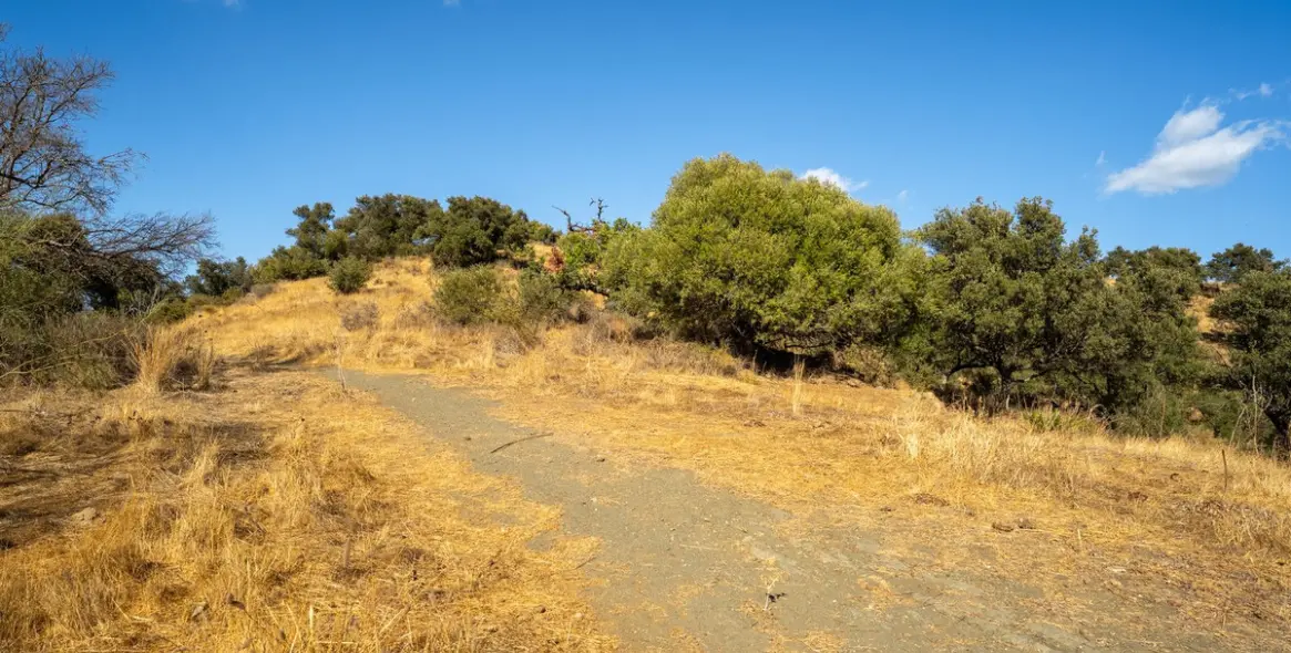Venta de parcela residencial en Cerros del Aguila 11