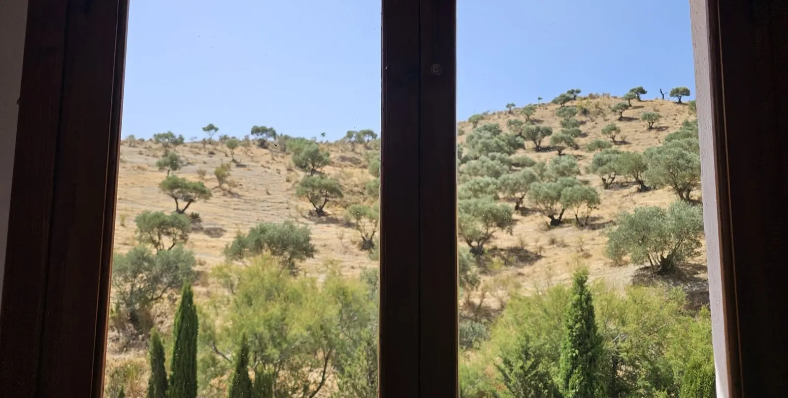 Sale of finca - cortijo in Antequera 1
