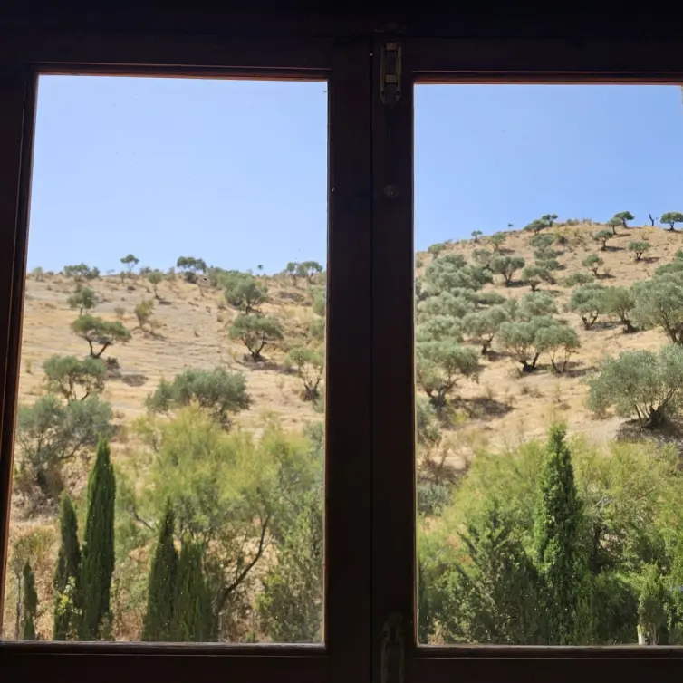 Sale of finca - cortijo in Antequera