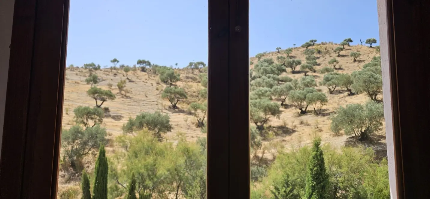 Sale of finca - cortijo in Antequera 0