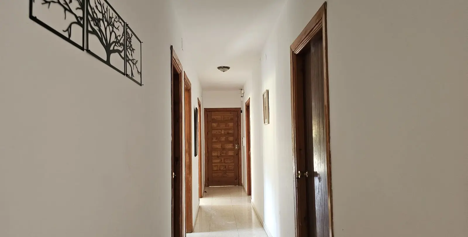 Sale of finca - cortijo in Antequera 3