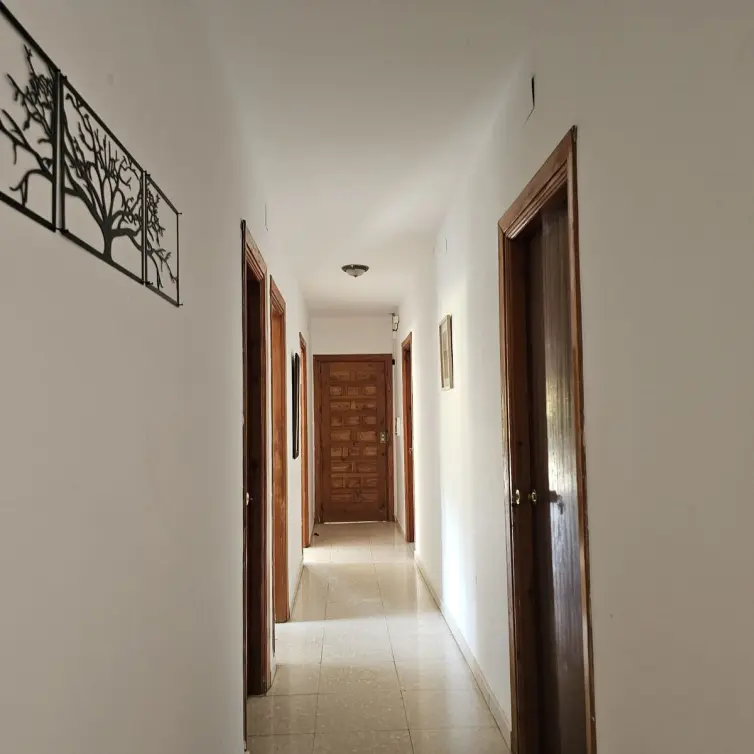 Sale of finca - cortijo in Antequera