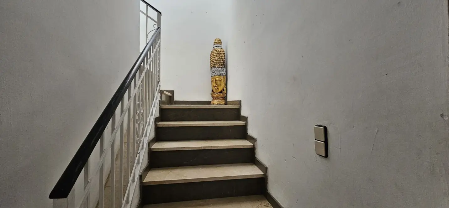Sale of finca - cortijo in Antequera 3