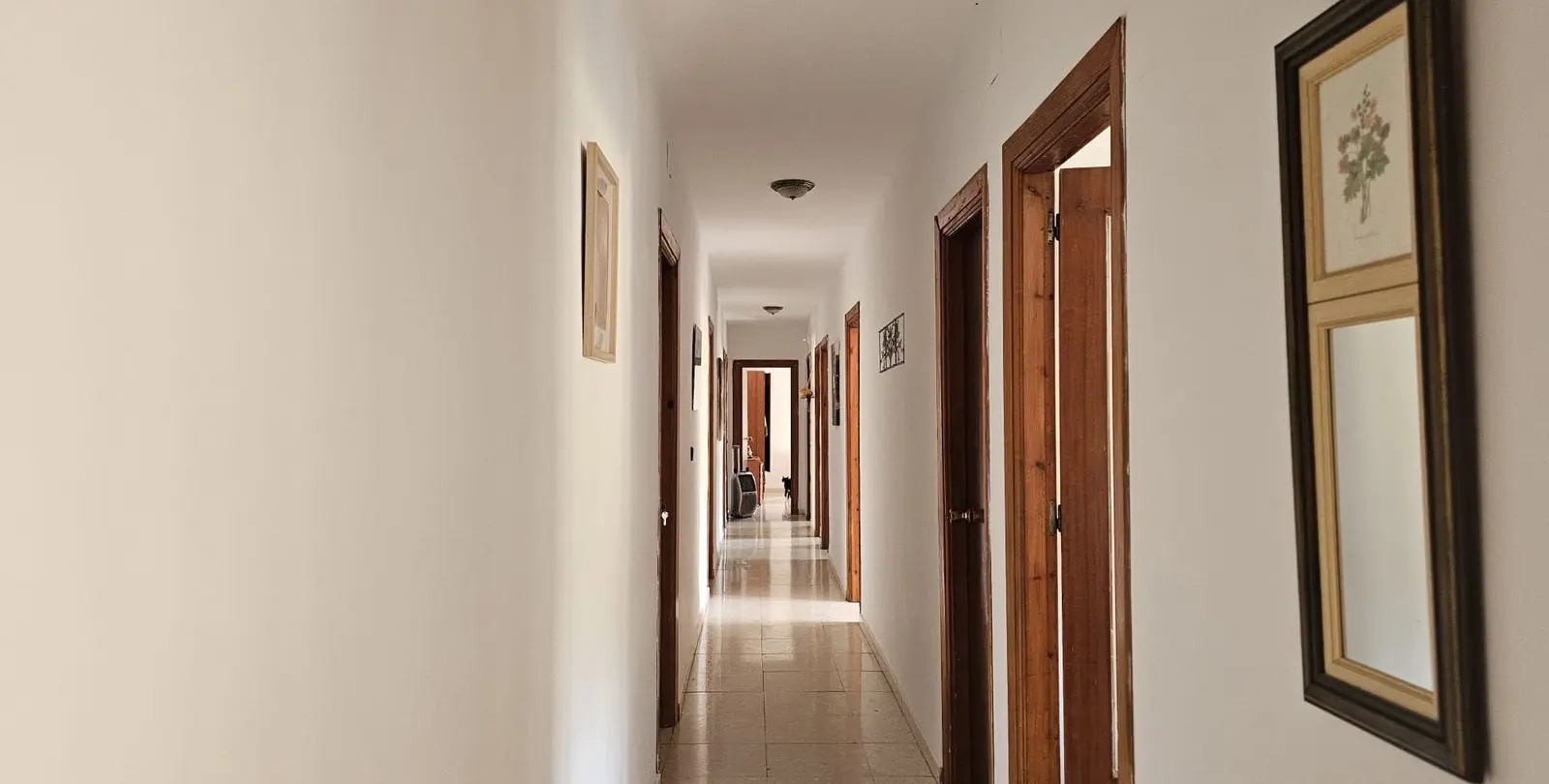 Sale of finca - cortijo in Antequera 6
