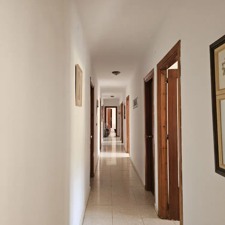Sale of finca - cortijo in Antequera