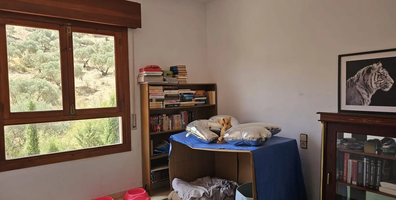 Sale of finca - cortijo in Antequera 13