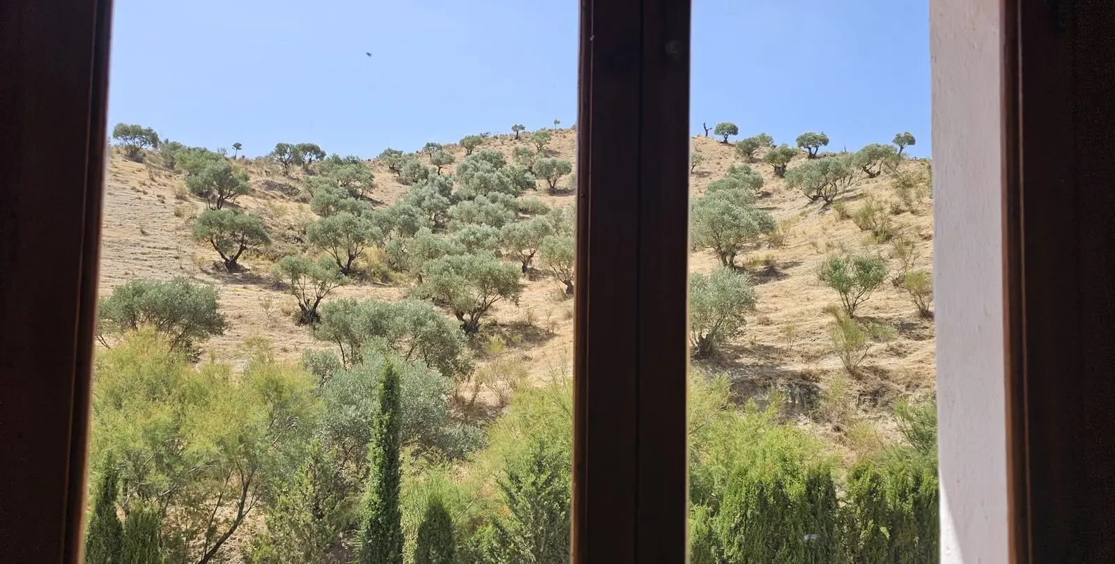 Sale of finca - cortijo in Antequera 26