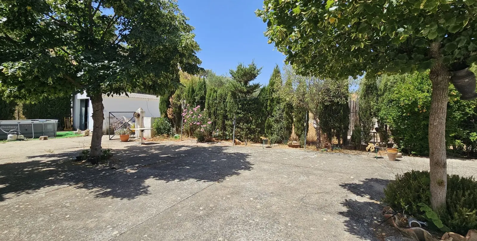Sale of finca - cortijo in Antequera 45