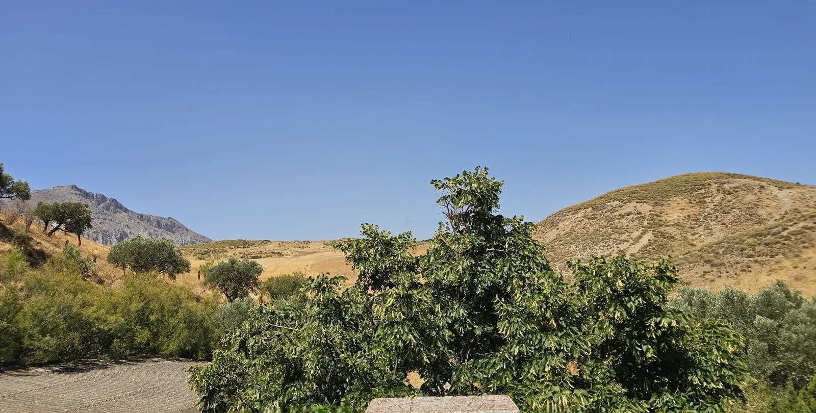 Sale of finca - cortijo in Antequera 46