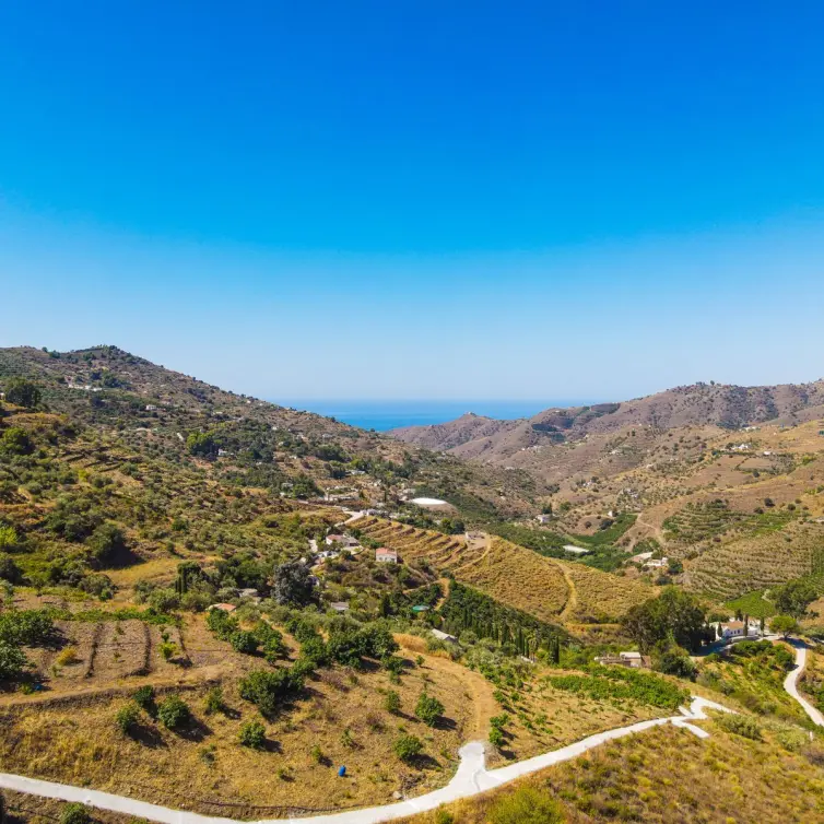 Sale of finca - cortijo in Cómpeta