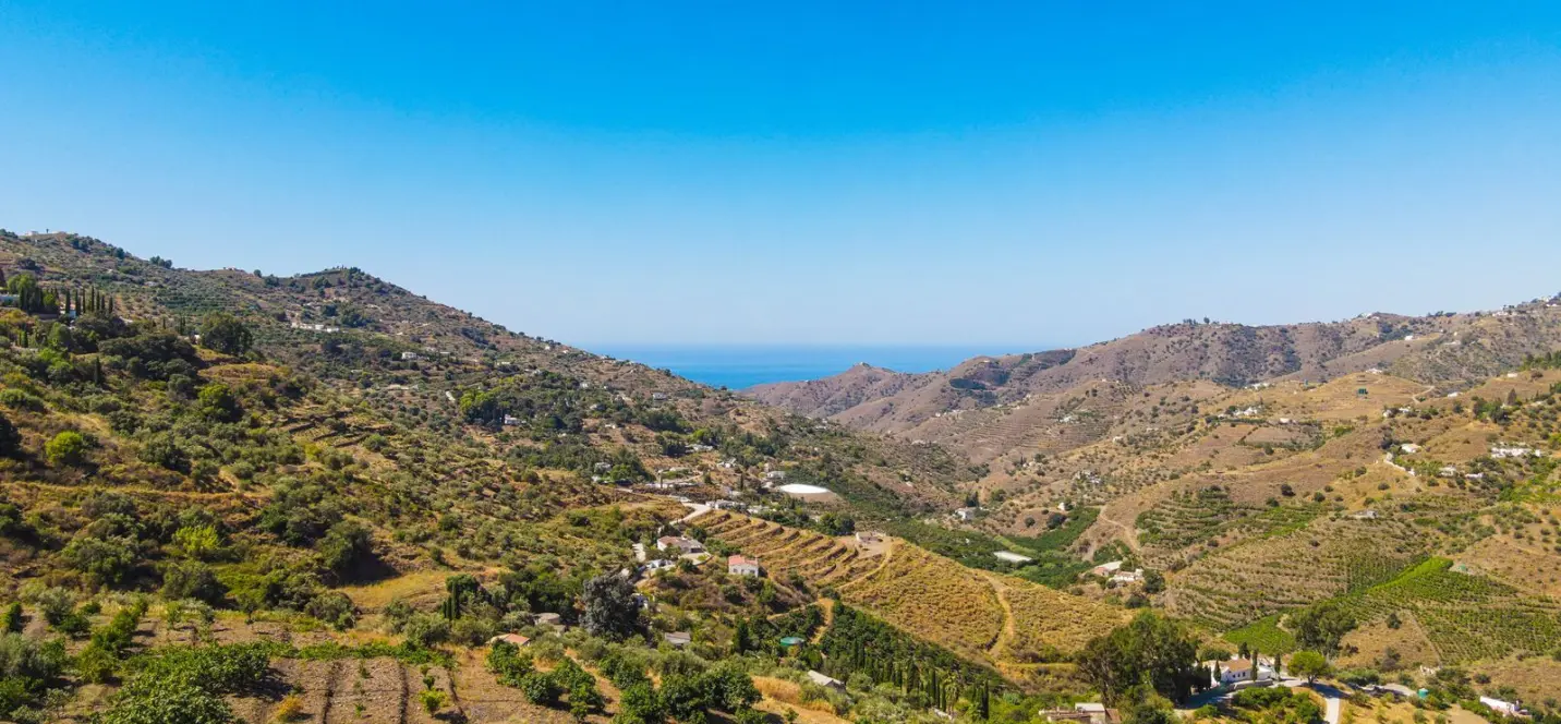 Sale of finca - cortijo in Cómpeta 3