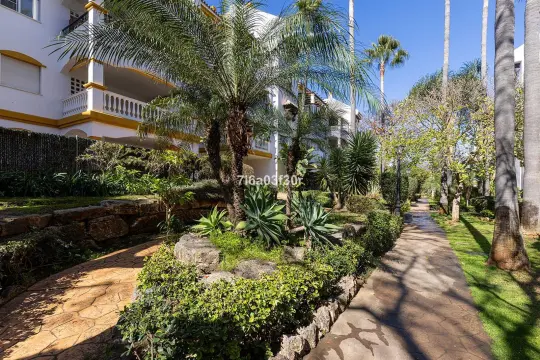 Image 50 thumb