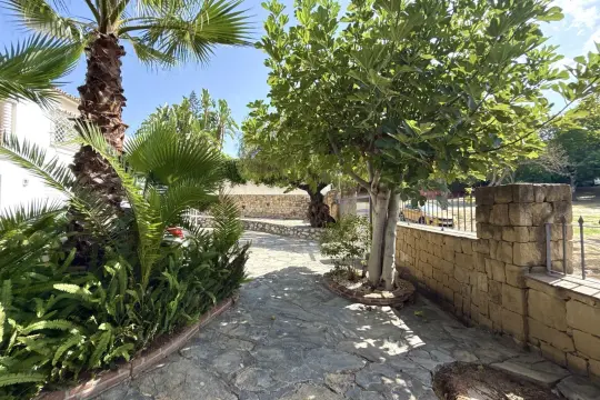 Image 9 thumb