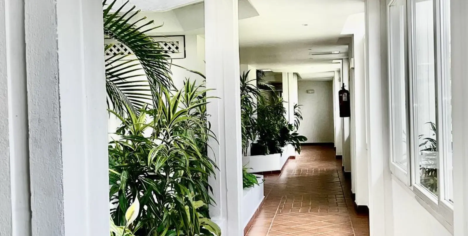 Long-term rent of middle floor apartment in Puerto Banús 5