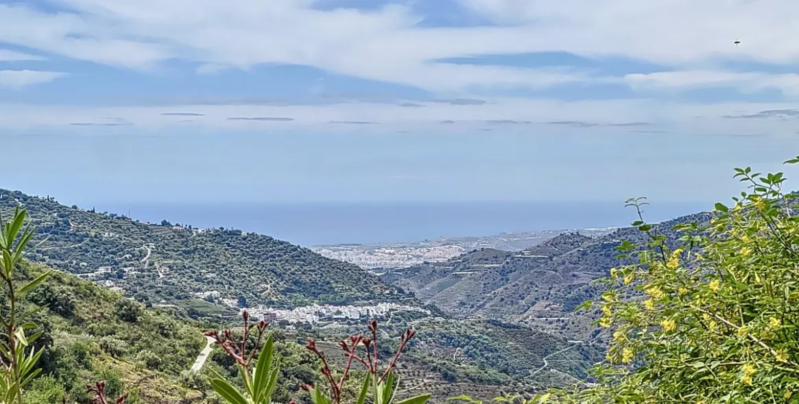 Venta de villa independiente en Sayalonga 4