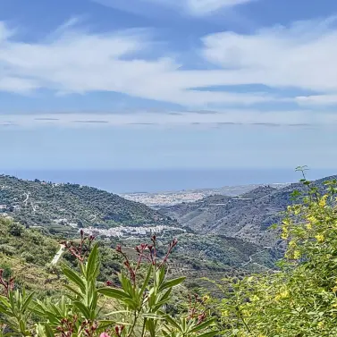 Venta de villa independiente en Sayalonga
