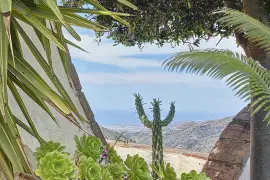 Image 62 thumb