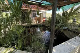 Image 7 thumb