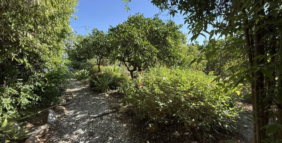 Sale of finca - cortijo in Alhaurín el Grande 8
