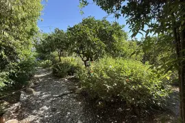 Image 8 thumb