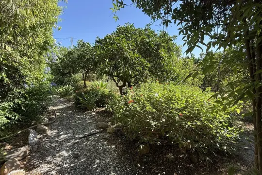 Image 8 thumb