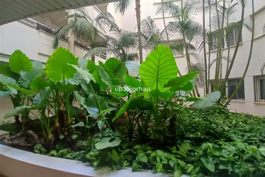 Image 6 thumb