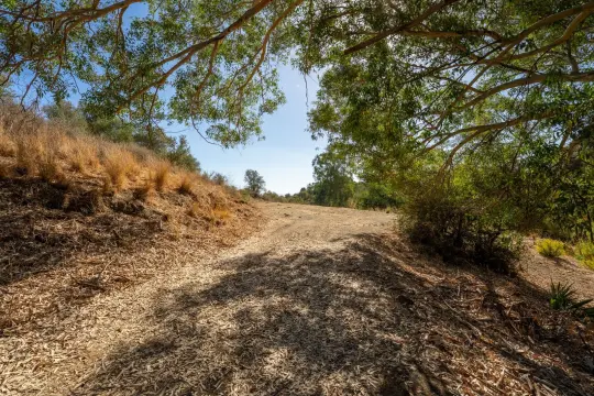 Image 7 thumb