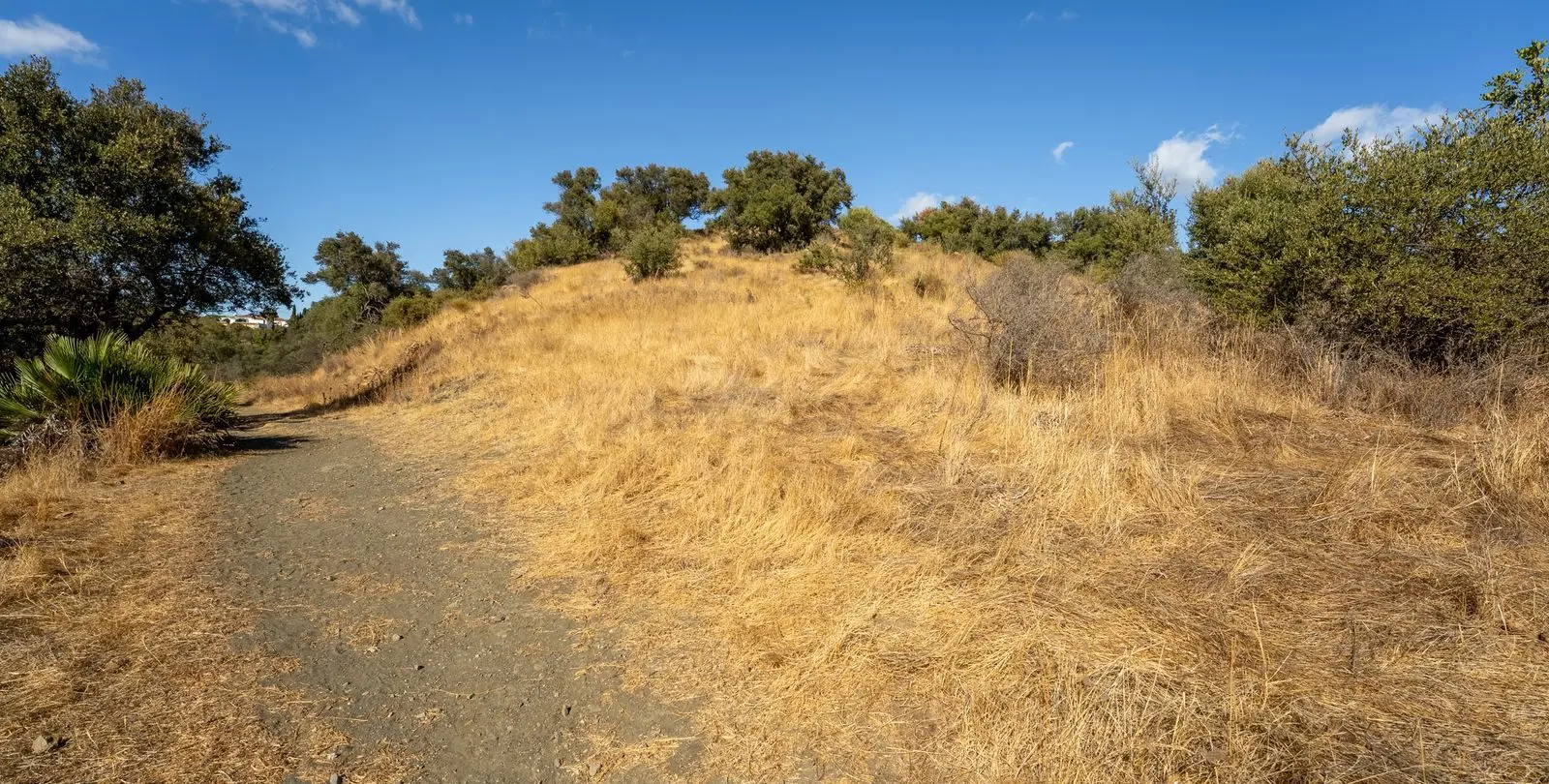 Sale of residential plot in Cerros del Aguila 9