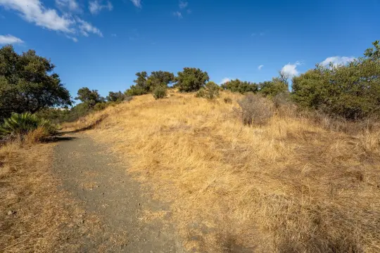 Image 9 thumb