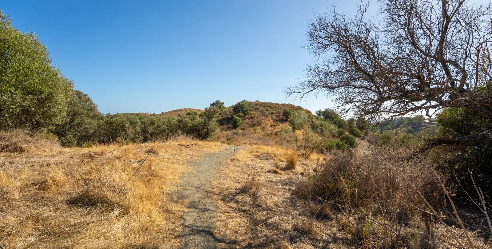 Sale of residential plot in Cerros del Aguila 10