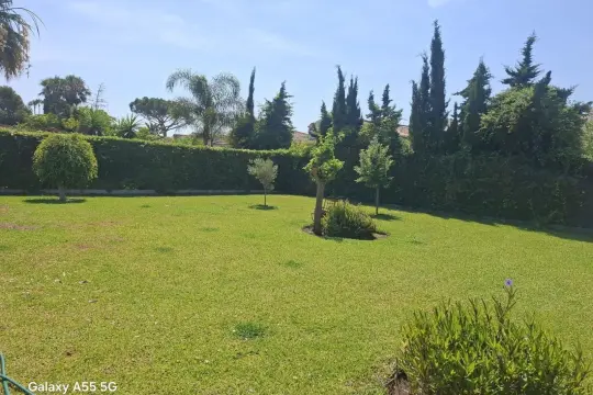 Image 8 thumb