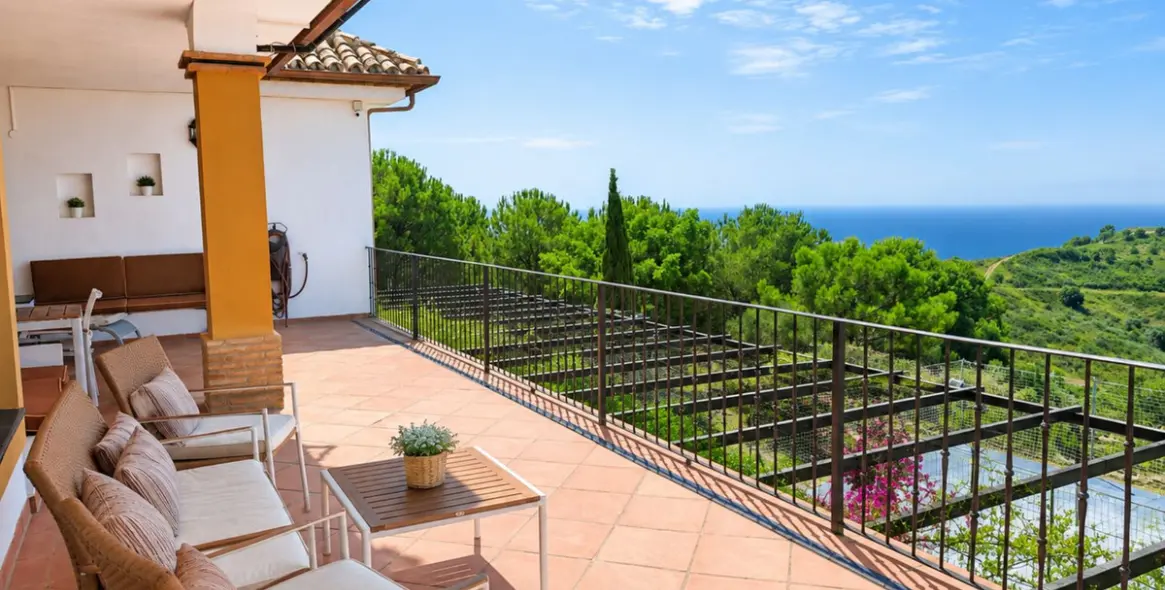 Venta de finca - cortijo en Estepona 35