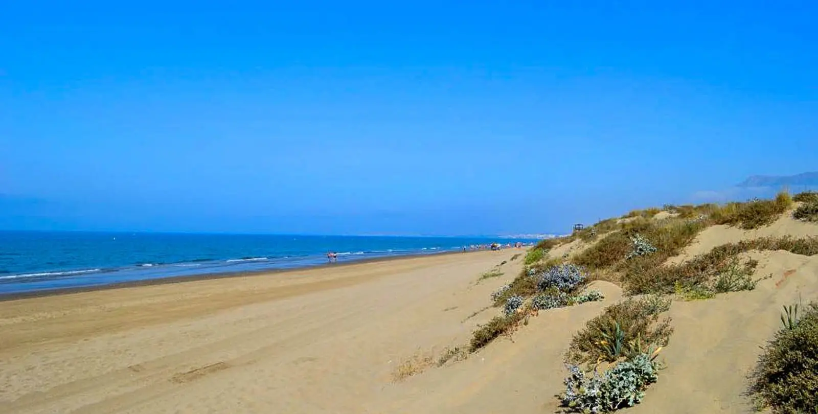 Sale of studio in Elviria 15