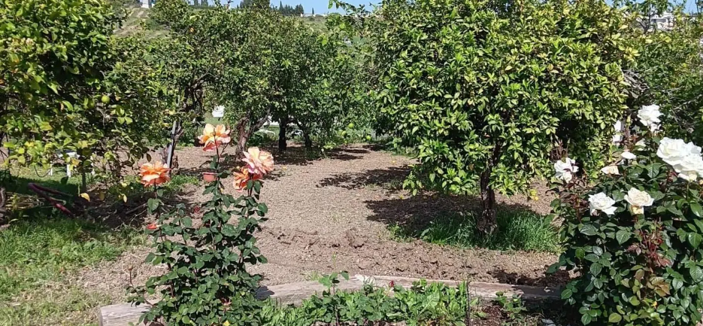 Sale of residential plot in El Padron 0