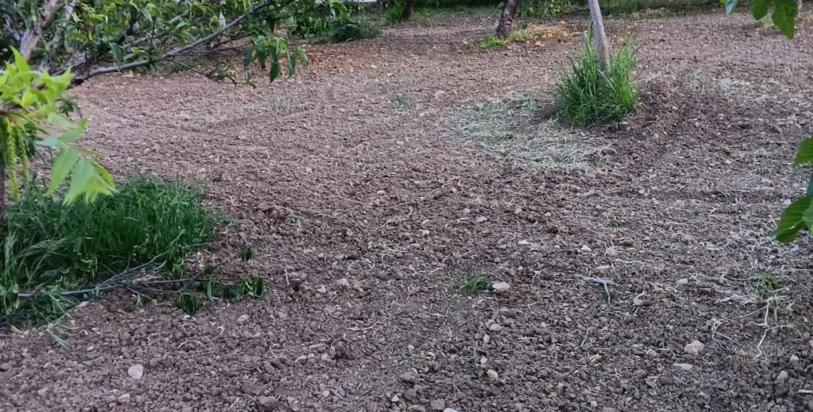 Sale of finca - cortijo in El Padron 3