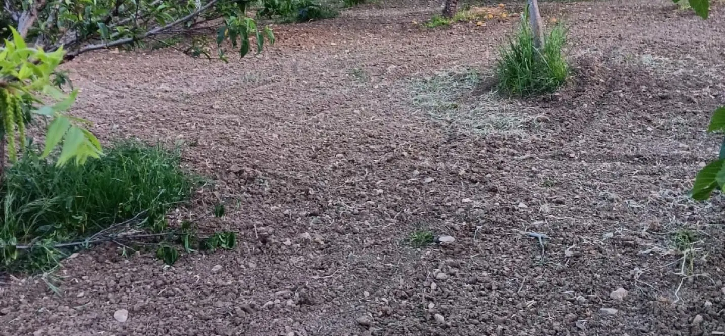 Sale of residential plot in El Padron 2