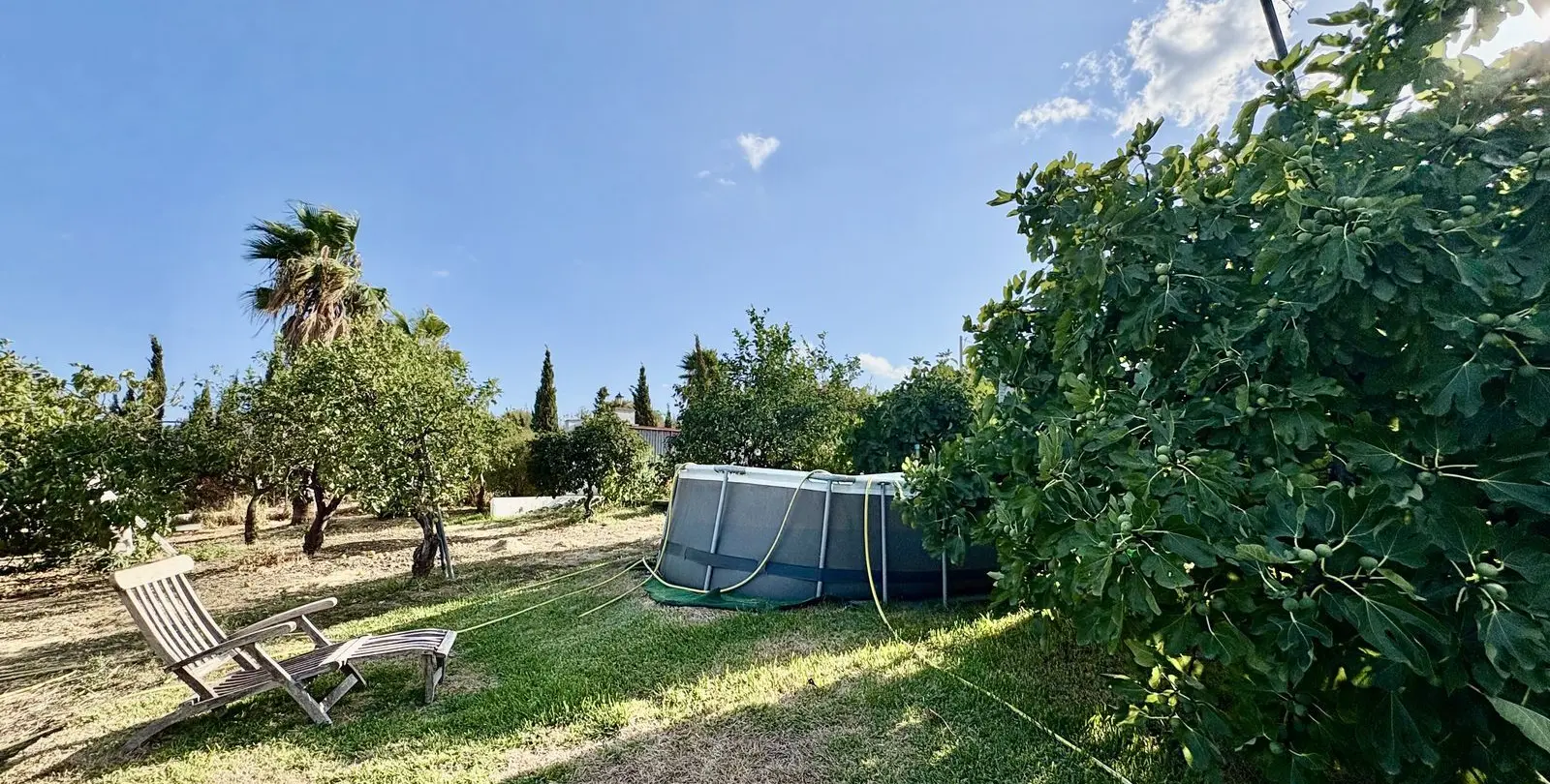 Продажа финки в El Padron 11