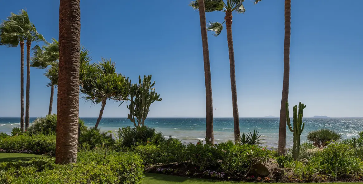 Продажа апартаментов на первом этаже в Estepona 20