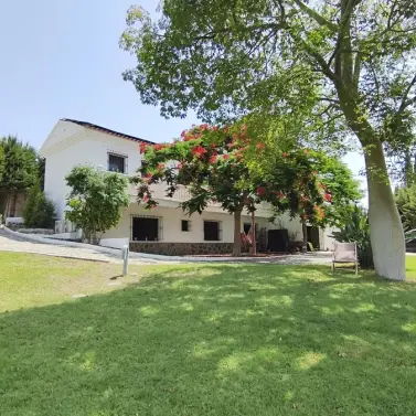 Venta de finca - cortijo en Alhaurín de la Torre