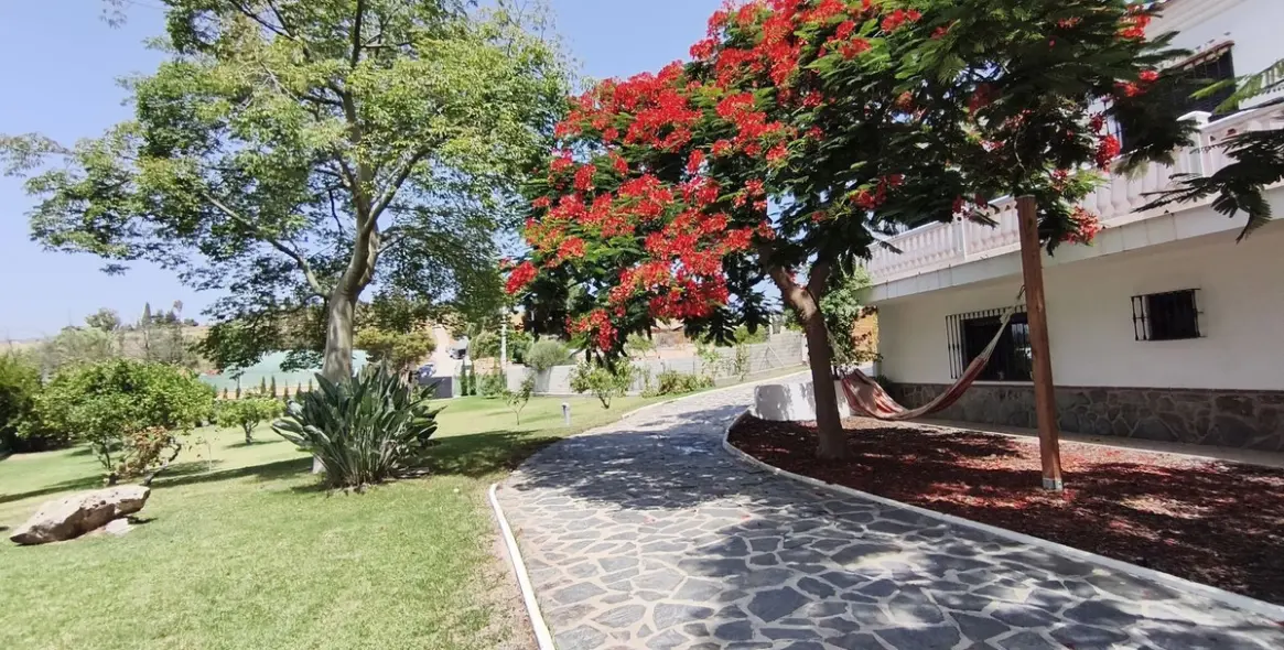 Venta de finca - cortijo en Alhaurín de la Torre 35
