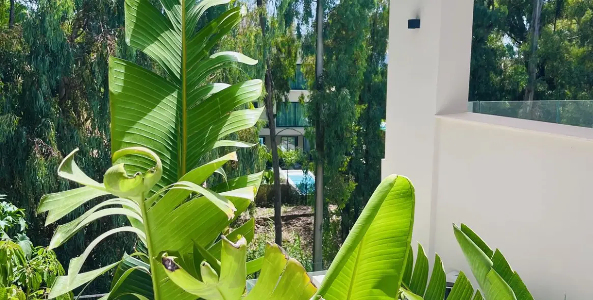 Venta de villa independiente en Nueva Andalucía 5