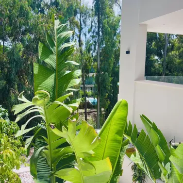 Venta de villa independiente en Nueva Andalucía