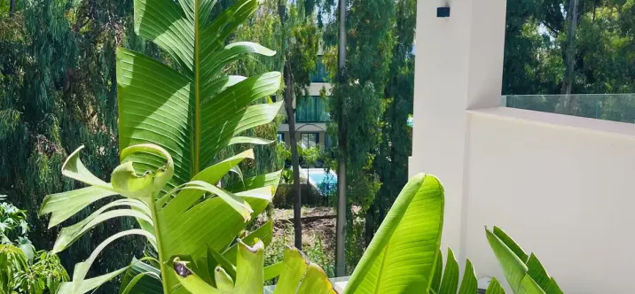 Venta de villa independiente en Nueva Andalucía 4