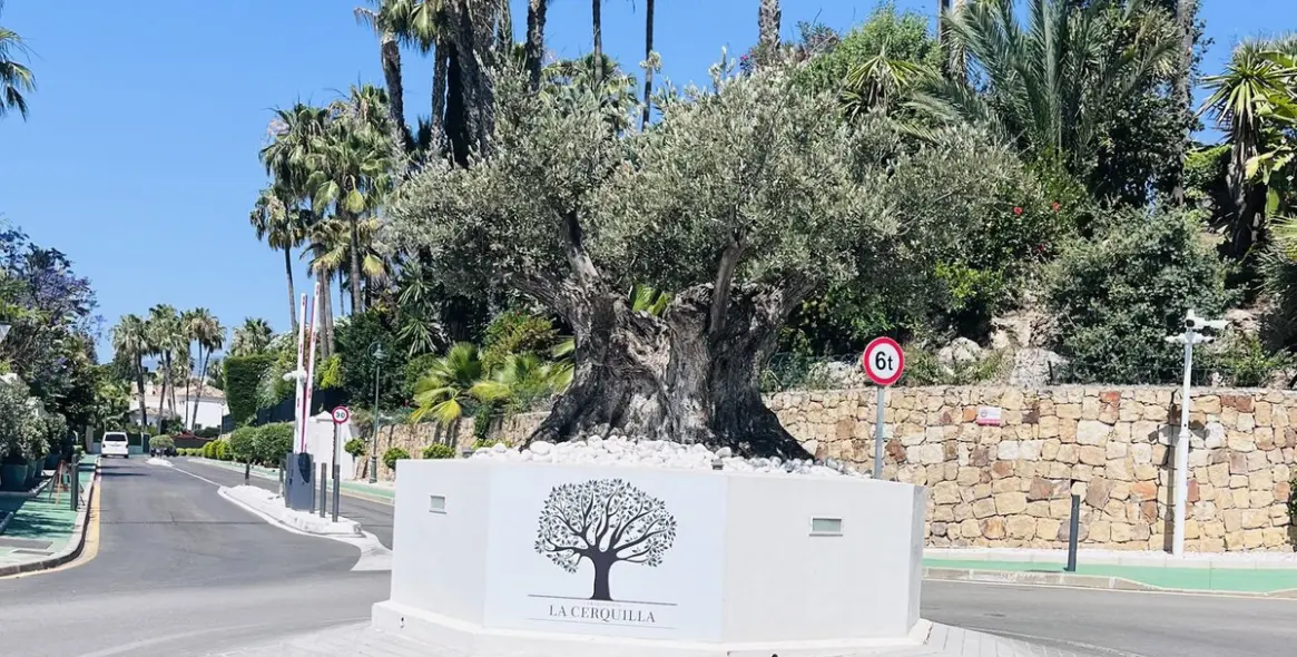 Venta de villa independiente en Nueva Andalucía 25
