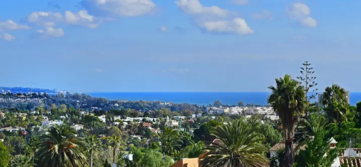 Venta de villa independiente en Nueva Andalucía 1