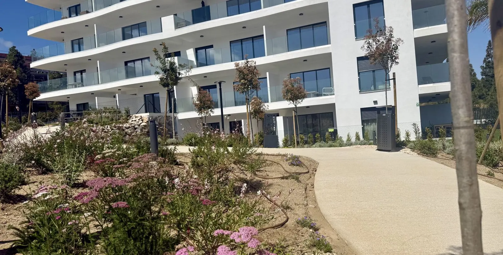 Sale of ground floor apartment in El Chaparral 44