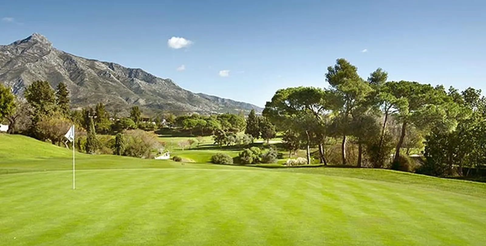Sale of middle floor apartment in Nueva Andalucía 32