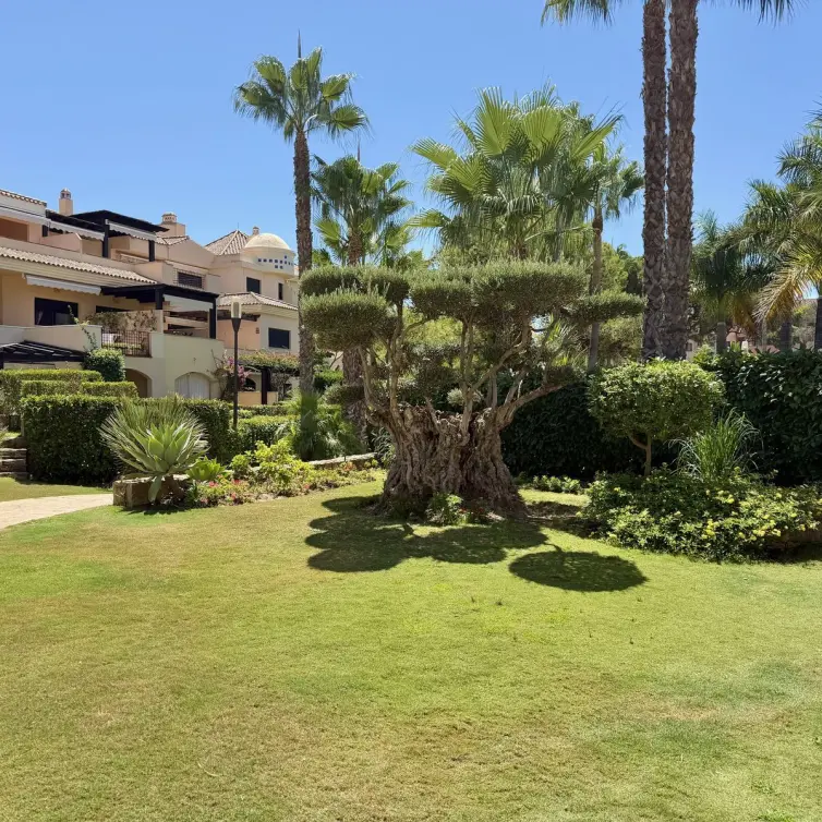 Sale of penthouse in Puerto Banús