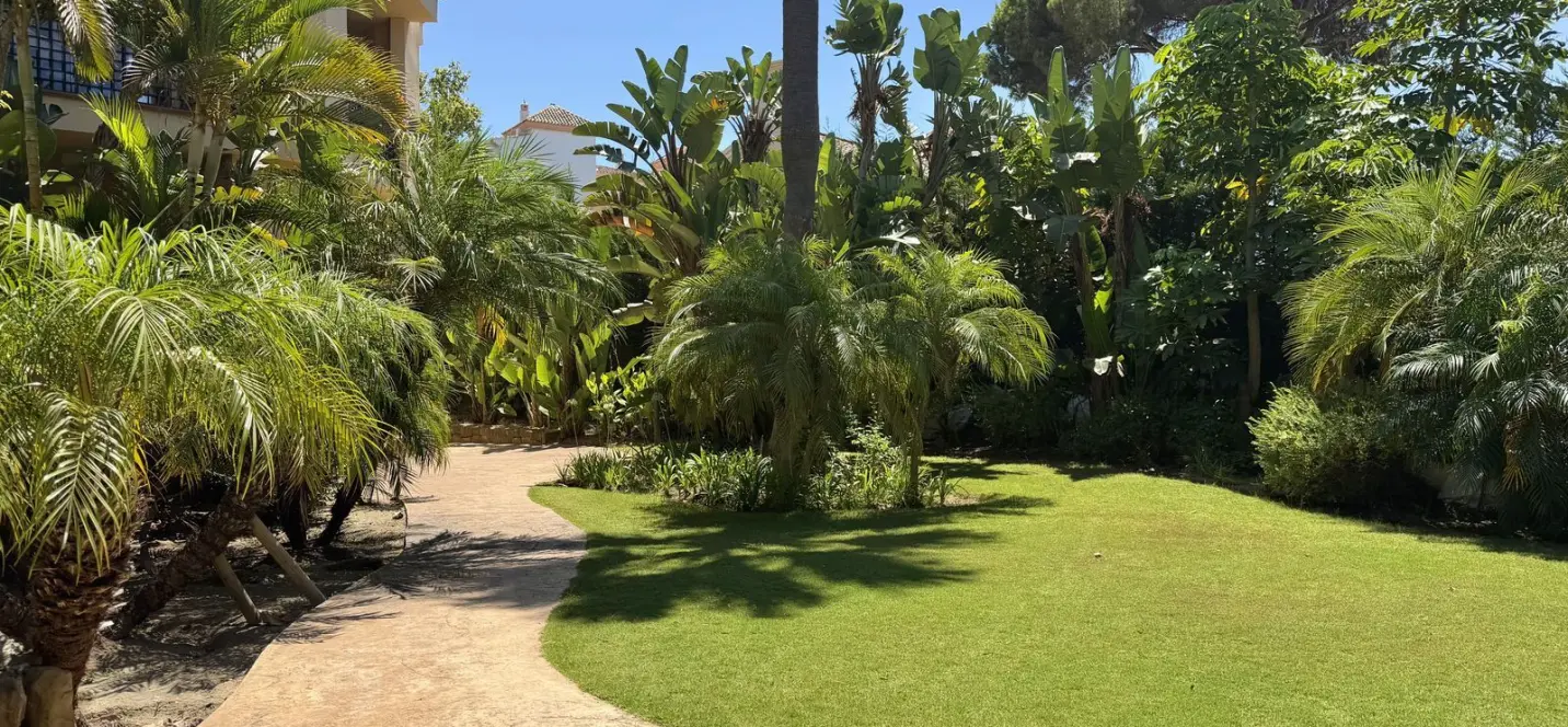 Sale of penthouse in Puerto Banús 4
